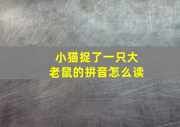 小猫捉了一只大老鼠的拼音怎么读