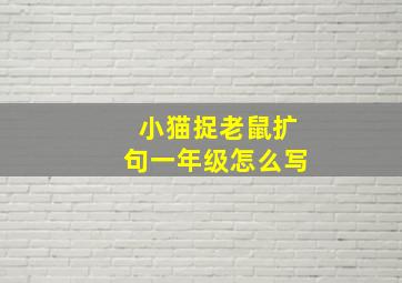 小猫捉老鼠扩句一年级怎么写