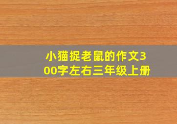 小猫捉老鼠的作文300字左右三年级上册