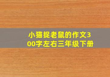 小猫捉老鼠的作文300字左右三年级下册