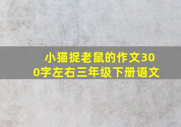 小猫捉老鼠的作文300字左右三年级下册语文