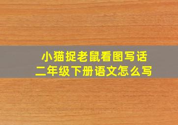 小猫捉老鼠看图写话二年级下册语文怎么写