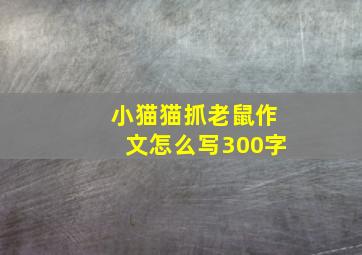 小猫猫抓老鼠作文怎么写300字