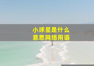 小球星是什么意思网络用语