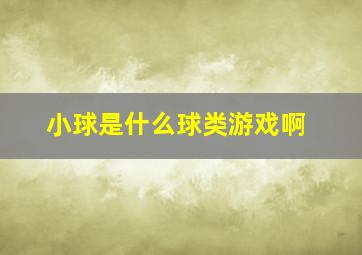 小球是什么球类游戏啊