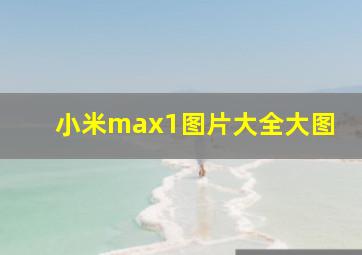 小米max1图片大全大图