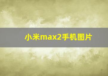 小米max2手机图片