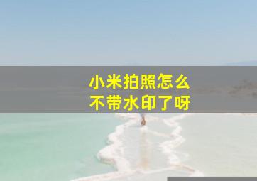 小米拍照怎么不带水印了呀