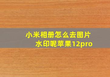 小米相册怎么去图片水印呢苹果12pro