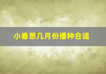 小香葱几月份播种合适