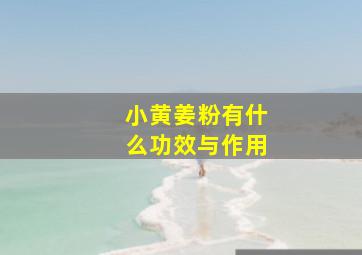 小黄姜粉有什么功效与作用