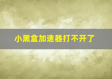 小黑盒加速器打不开了