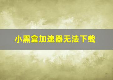 小黑盒加速器无法下载