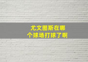 尤文图斯在哪个球场打球了啊