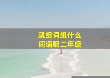 就组词组什么词语呢二年级