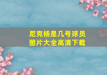 尼克杨是几号球员图片大全高清下载