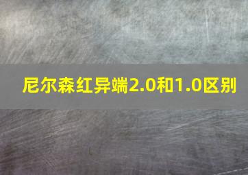 尼尔森红异端2.0和1.0区别