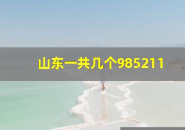 山东一共几个985211