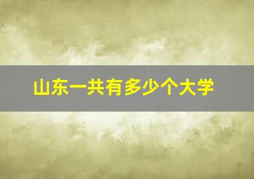 山东一共有多少个大学