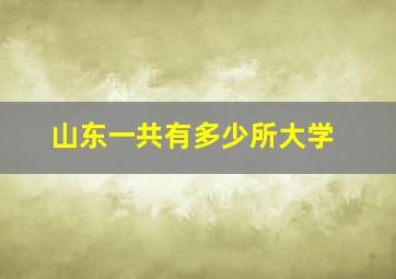 山东一共有多少所大学