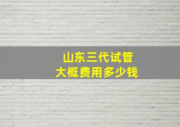 山东三代试管大概费用多少钱