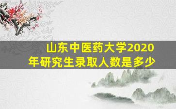 山东中医药大学2020年研究生录取人数是多少