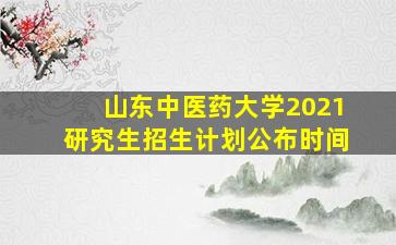 山东中医药大学2021研究生招生计划公布时间