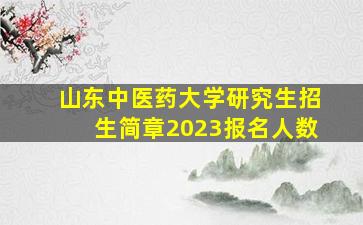 山东中医药大学研究生招生简章2023报名人数