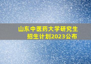 山东中医药大学研究生招生计划2023公布