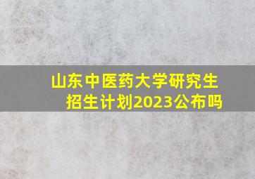 山东中医药大学研究生招生计划2023公布吗