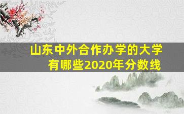 山东中外合作办学的大学有哪些2020年分数线