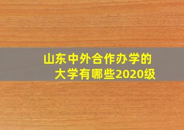 山东中外合作办学的大学有哪些2020级