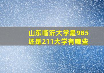 山东临沂大学是985还是211大学有哪些