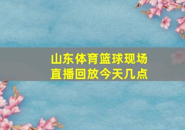 山东体育篮球现场直播回放今天几点