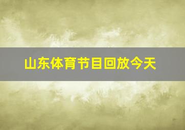 山东体育节目回放今天