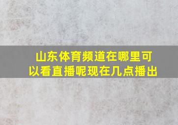 山东体育频道在哪里可以看直播呢现在几点播出