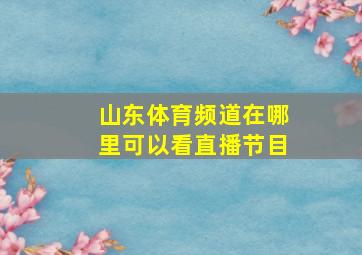 山东体育频道在哪里可以看直播节目