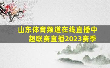 山东体育频道在线直播中超联赛直播2023赛季