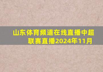 山东体育频道在线直播中超联赛直播2024年11月