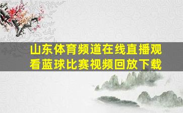 山东体育频道在线直播观看蓝球比赛视频回放下载