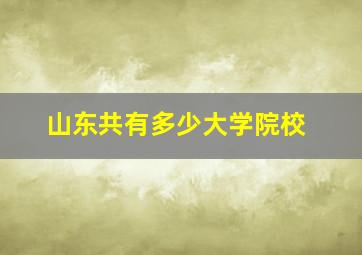 山东共有多少大学院校