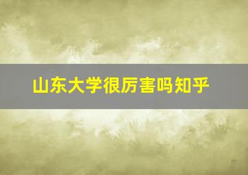 山东大学很厉害吗知乎