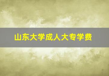 山东大学成人大专学费