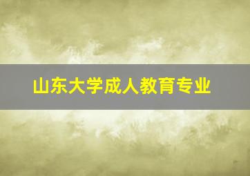 山东大学成人教育专业