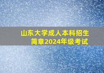 山东大学成人本科招生简章2024年级考试