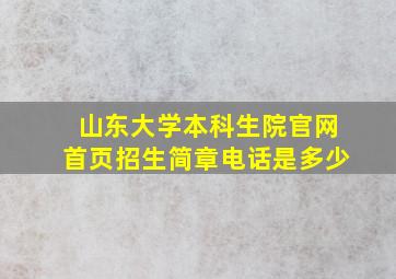 山东大学本科生院官网首页招生简章电话是多少