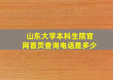 山东大学本科生院官网首页查询电话是多少