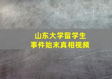 山东大学留学生事件始末真相视频