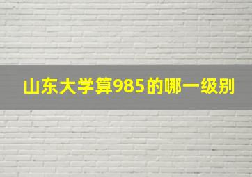 山东大学算985的哪一级别