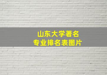 山东大学著名专业排名表图片